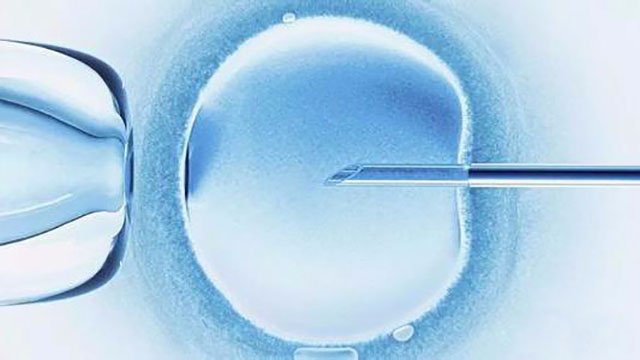 泰国试管婴儿中冷冻胚胎高成功率原因分析